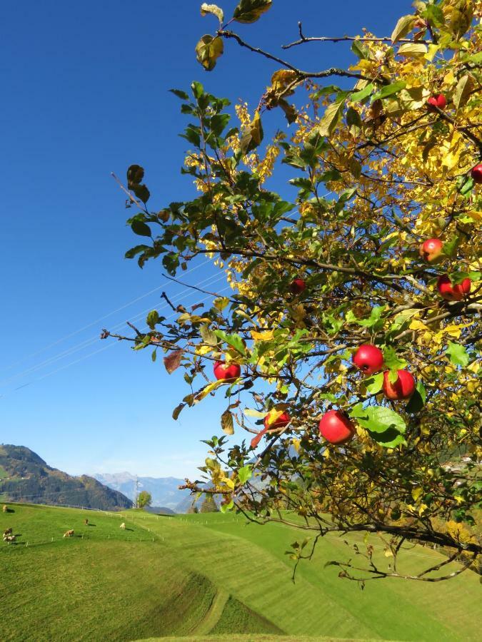 Ferienwohnung Point Hainzenberg Bagian luar foto